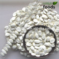 Wholesale Edible Pumpkinseeds In Shell, Large Size